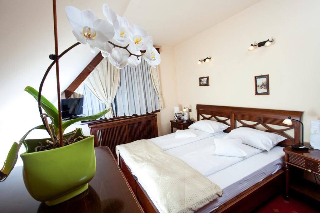 Pension Brasovu Vechi Room photo